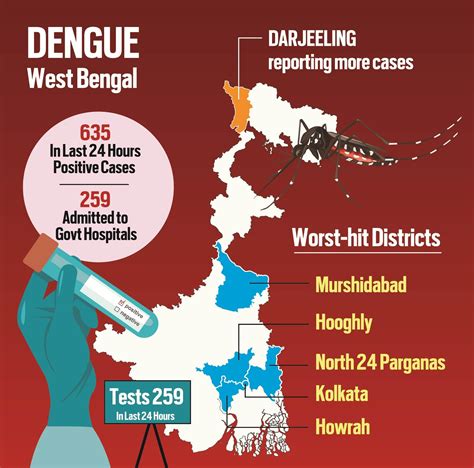 dengue in india 2017